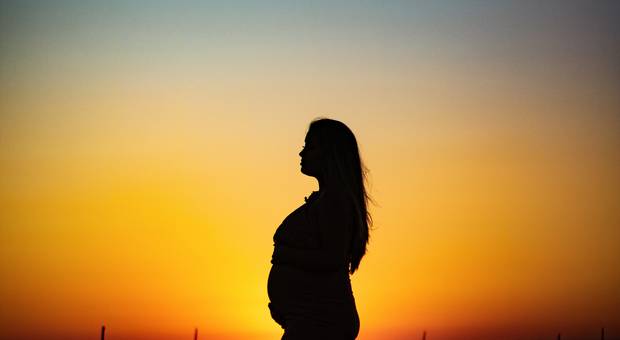 Gestacional  de Alicia e Djair 