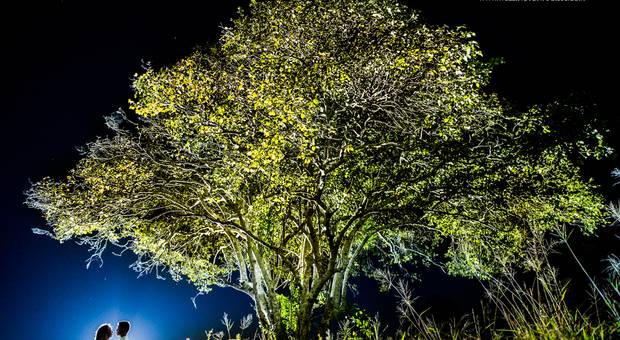 E-session de Divertidamente / Bruna e Vinicius