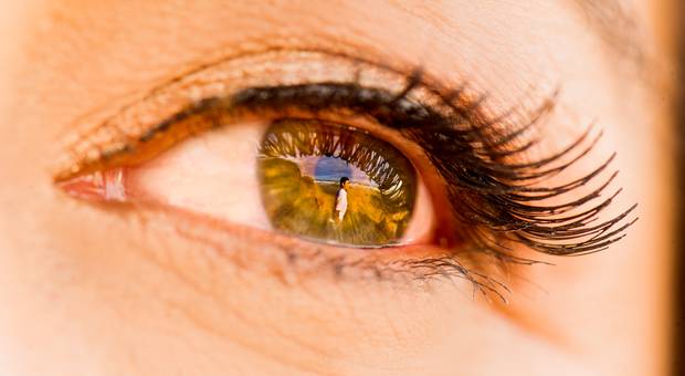 Ensaio de Família de Junior, Edney e Isabella