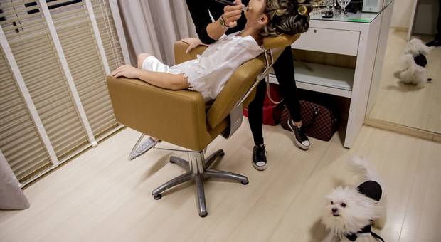 Casamento de Bia + Fernando