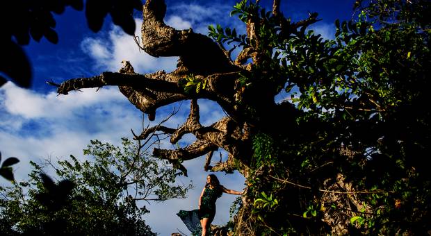 Ensaio de Debutante de Maria Cecília