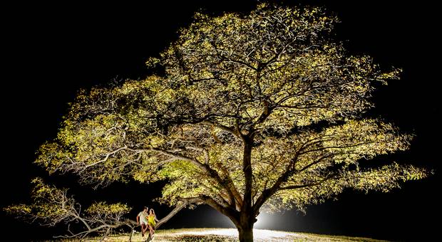 E-session de Laura e Rodrigo