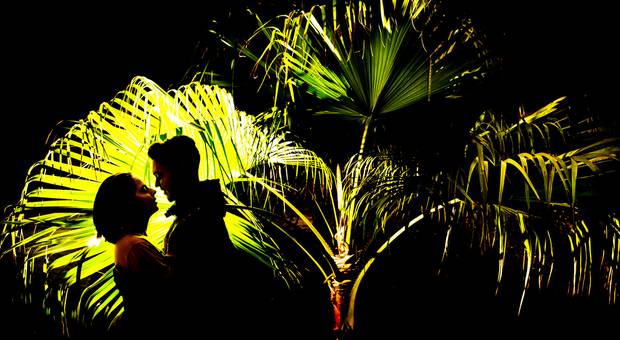 Workshop de Collegato 2019