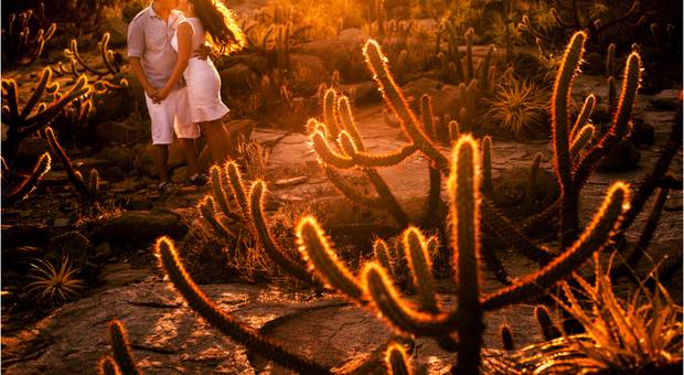 E-session de Vida que brilha / Ananília e Marcelo