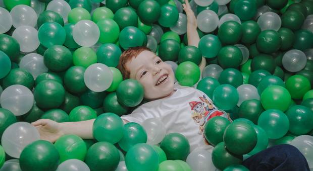 Família de Aniversário - Francisco