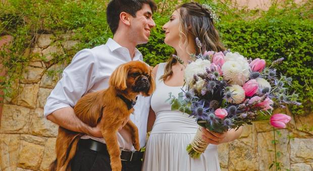 Fotografias de Silvia e Rafael | Casamento Civil