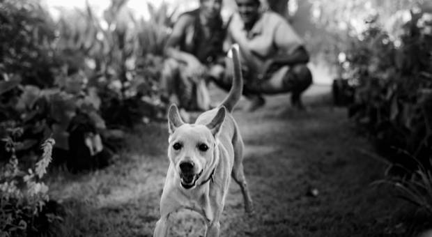 Pré Casamento de Gabi e Felipe