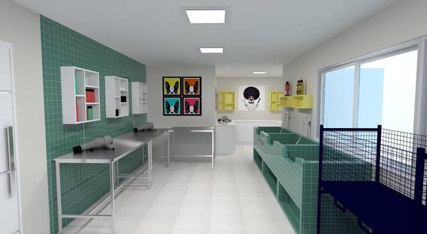 Institucional de Clínica Veterinária