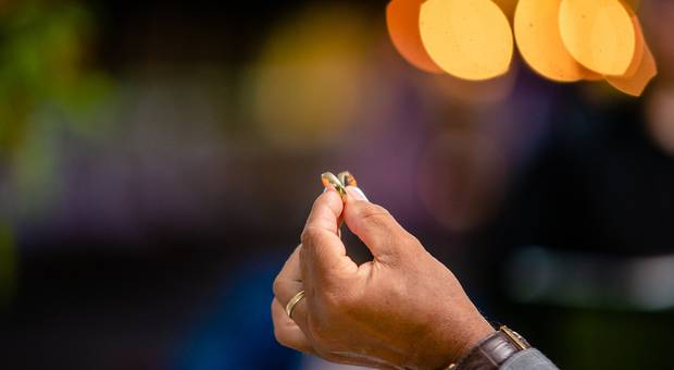 Casamento de Janaira & Vinicius 