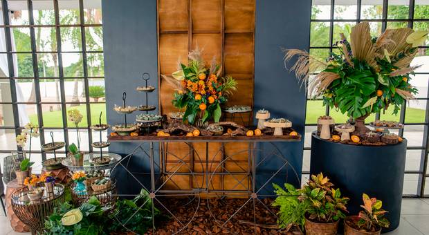 Evento Social de Confraternização Paraná Agrícolas 