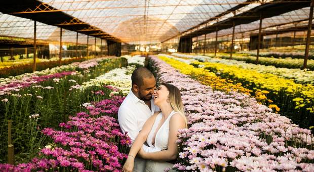 Ensaios de Ensaio em Holambra - Gabi & Rafa