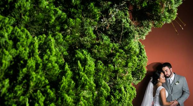 Casamentos de Casamento - Dani & Fernando