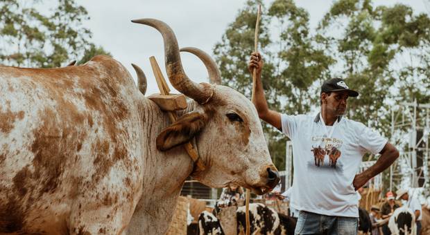 Festas de EXPO QUELUZITO 2022 - DIA 03 - Desfile de Carro de Boi