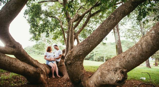 GESTANTE de A ESPERA DE LUISA