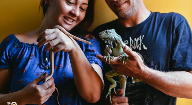 ENSAIO COM PETS de DANI + CIRO