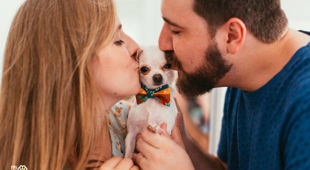 ENSAIO COM PETS de MARÍLIA + THIAGO + SMEAGOL