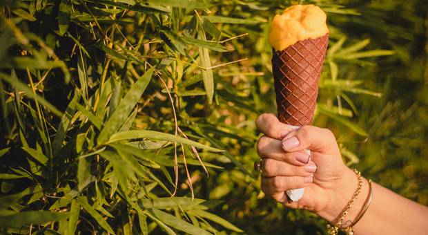 Alimentos de Gelateria Pai D'égua | Fotografia Gastronômica