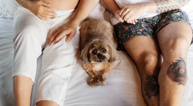 FAMILIA de Ensaio Gestante da Sara e do Arthur | À espera do Zeca