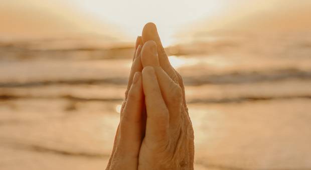 Família de Bodas 50 anos 