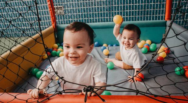 Família de Família Laranjeira