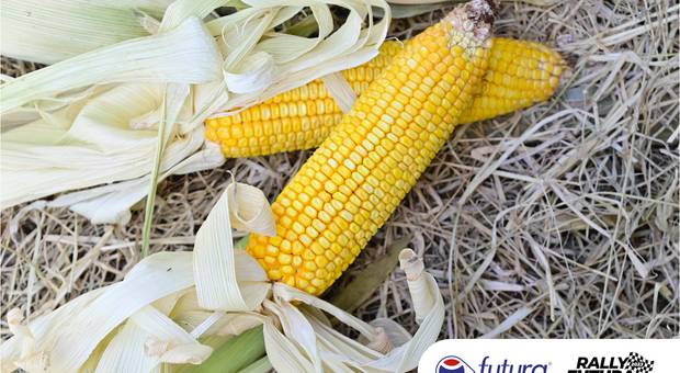 Eventos Corporativos de Rally Futura 3º Etapa Goiás