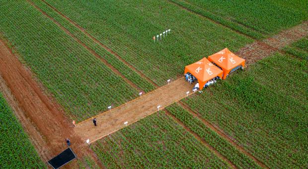 Eventos Corporativos de Dia de Campo Koppert AgroBelts