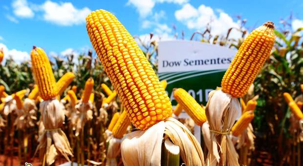 Eventos Corporativos de TecnoDow