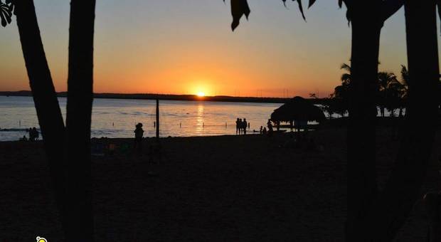 Eventos Corporativos de Syngenta Operação Cerrado