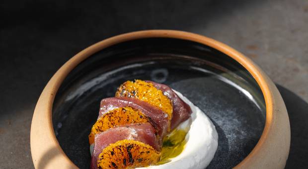 Gastronomia de Made - Cozinha Autoral - Dário Costa