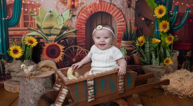 Acompanhamento de bebê de Cecilia 6 meses