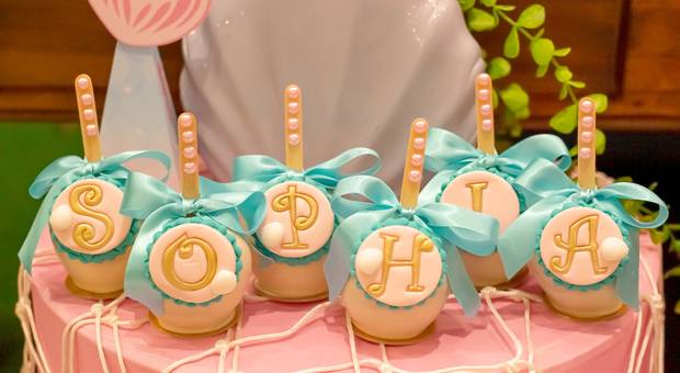 Aniversário Infantil de Sophia