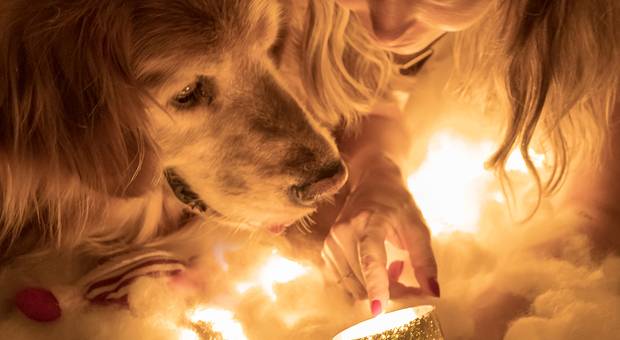 Família  de ENSAIO NATAL MANU E RENAN ( E APOLO !)