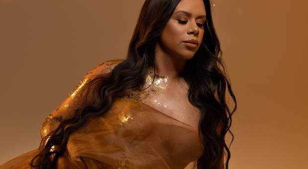 Gestante Estúdio de Ashley Gestante