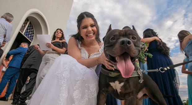 Casamento de  Andressa e Thiago