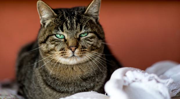 Viagens de Vale dos Deuses