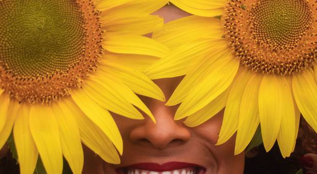 Ensaios de Mell & Girassóis