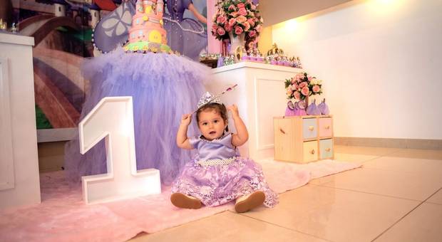 ANIVER INFANTIL de 1 aninho de Sofia