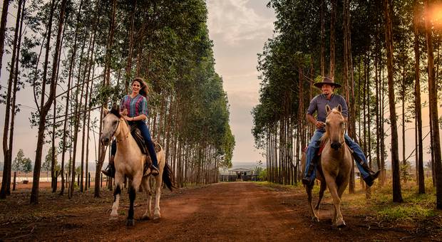 Ensaios Pré-Casamentos  de Ensaio de Casal com Cavalos - Ana Carolina e FIlipe