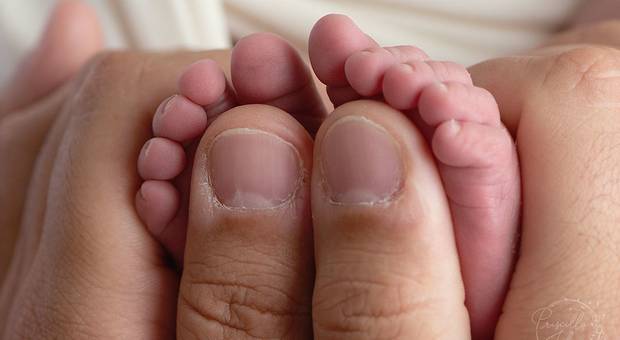 Newborn de Filho de meu primo, minha prima é - fotografia newborn da Luísa