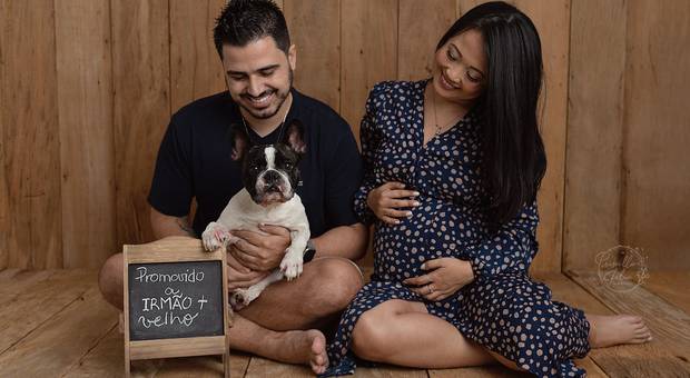 Gestante de Pet também é da família - Ensaio Gestante em Estúdio
