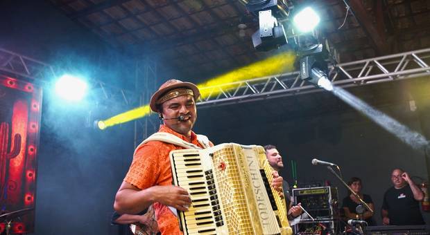 Shows de Shows