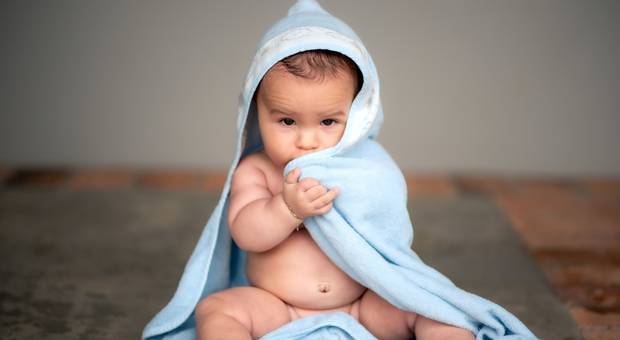 Acompanhamento de Linha do Tempo do Nicolas