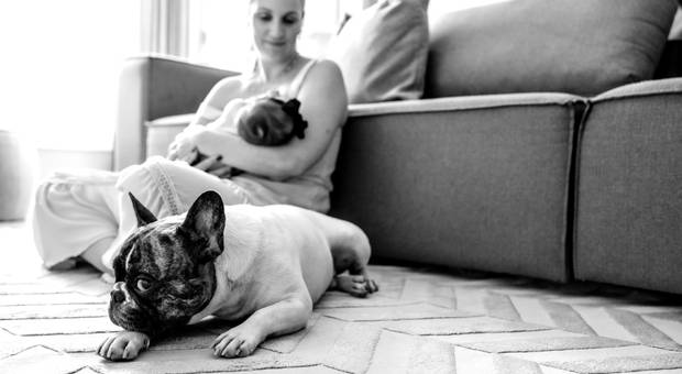 Ensaio de Acompanhamento da Clarinha - 3M, 6M, 9M e 12M