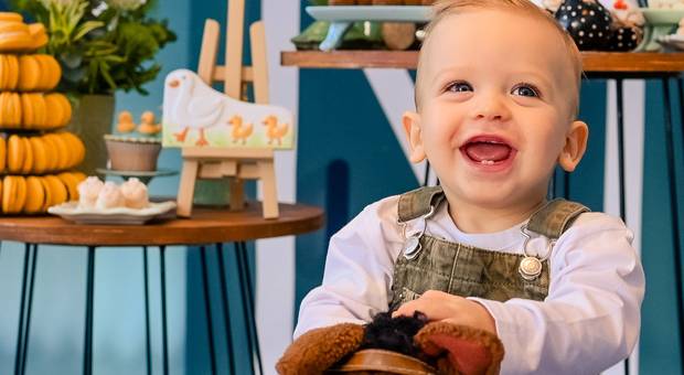 Aniversário Infantil de Fazendinha encantada do pequeno, Theo