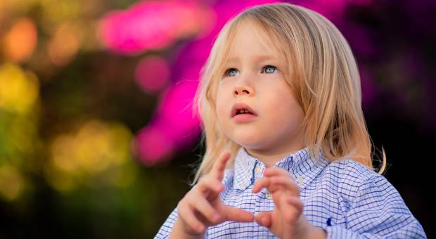 Família de Quanta fofura esse Vicente