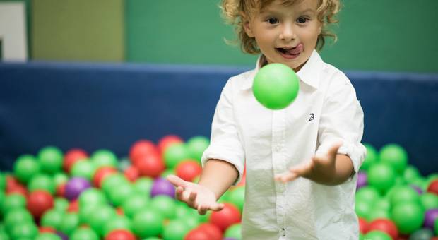 Aniversário Infantil de Pedro 2