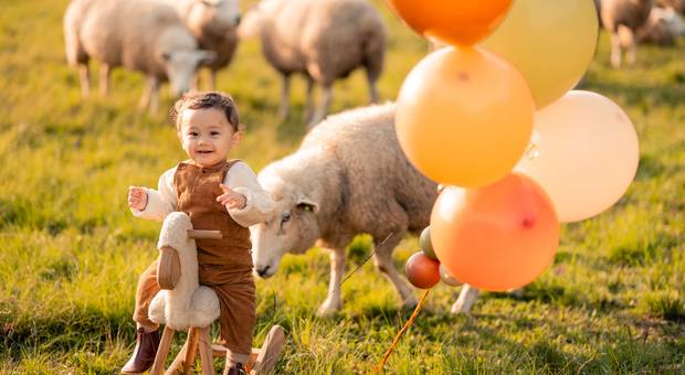 Família de Smash do Luan