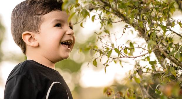 Família de Lucas e primos