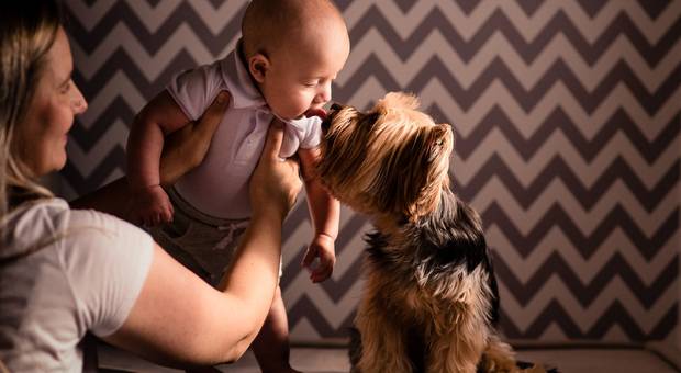 Família de Murilo e família