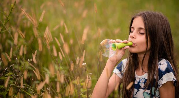 Ensaio de Isabele 11